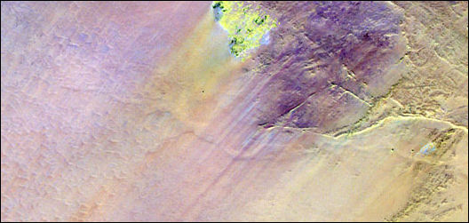 20120206-Sahara rive SafsafOasis SAR.jpg